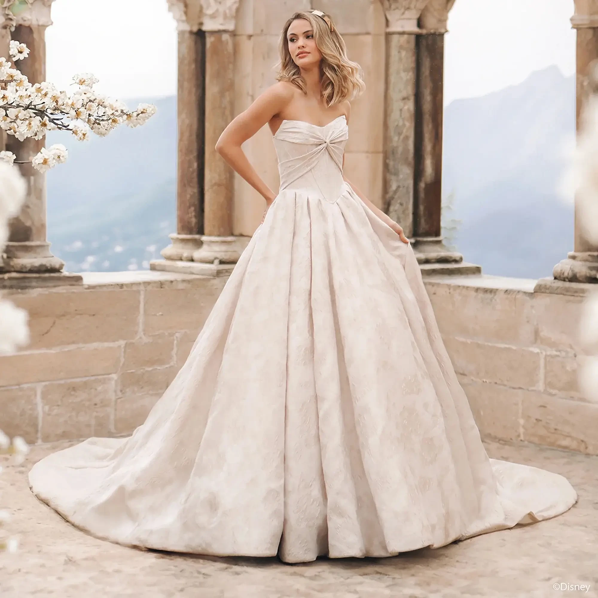 DISNEY FAIRY TALE WEDDINGS wedding gown