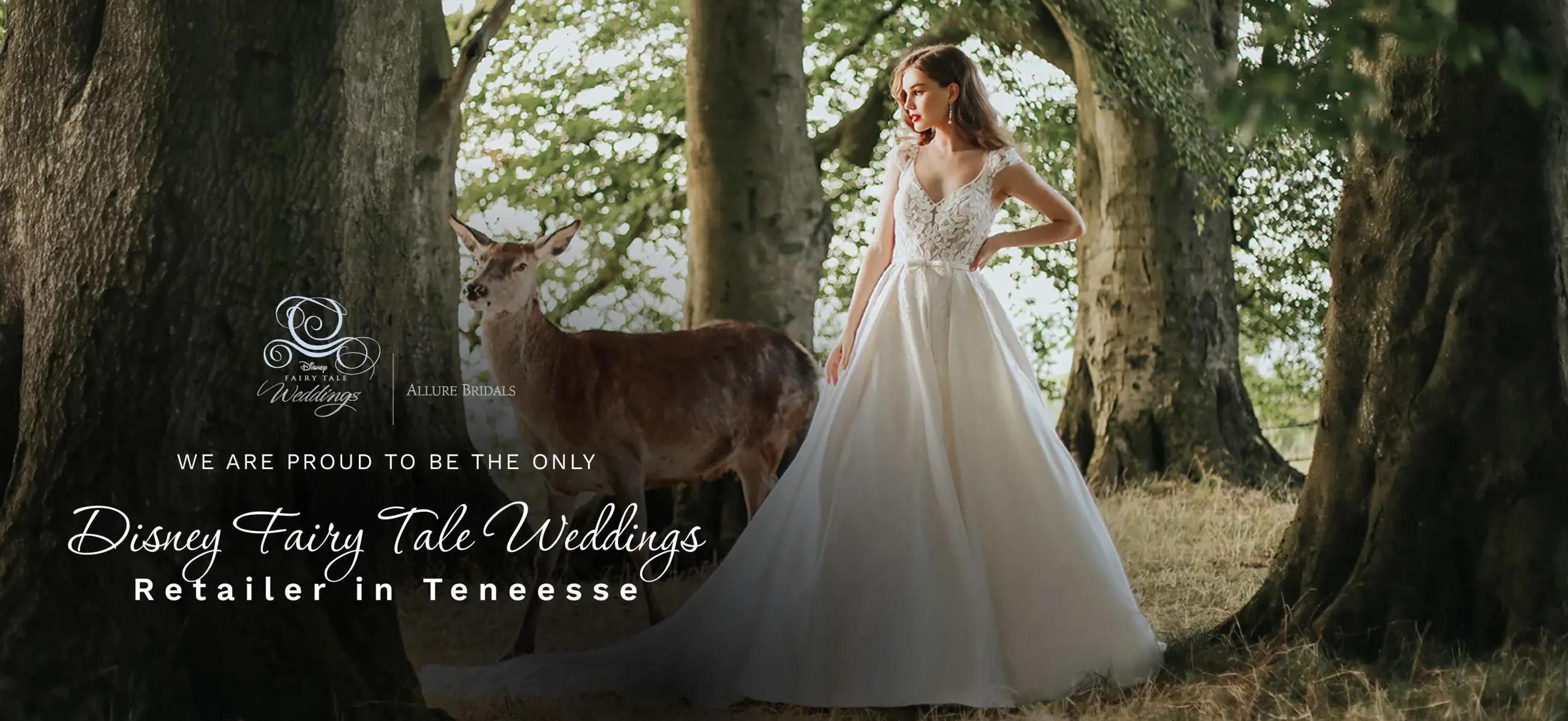 The White Room Bridal Boutique Wedding Dresses in Lebanon, TN