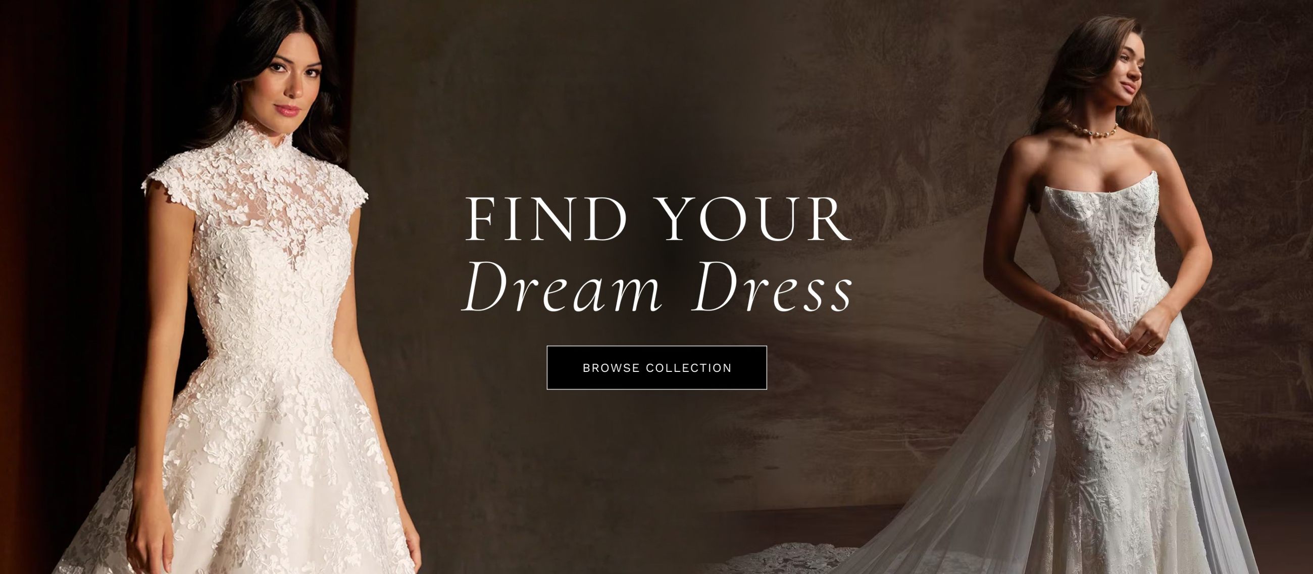 find your dream dress fall 2026 banner