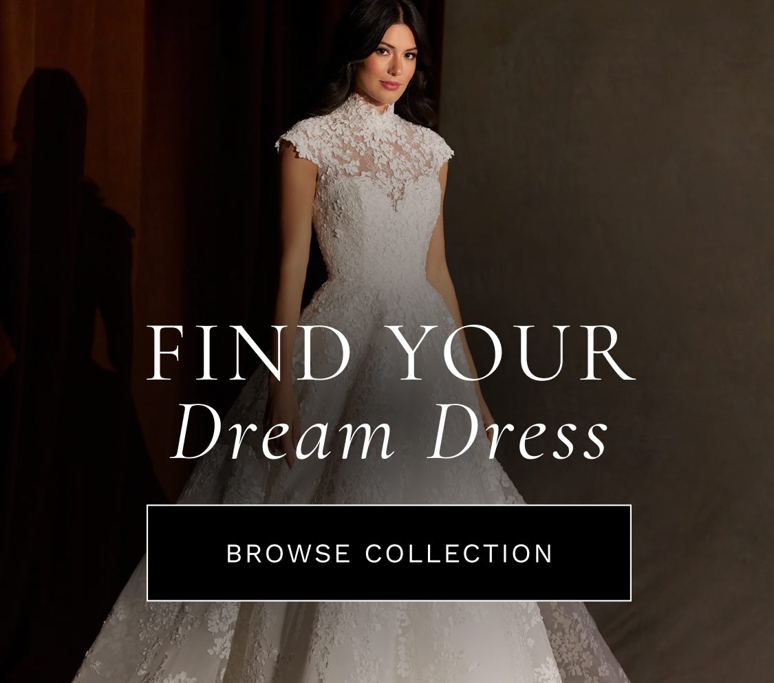 find your dream dress fall 2026 banner